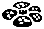 Jungle set symbol