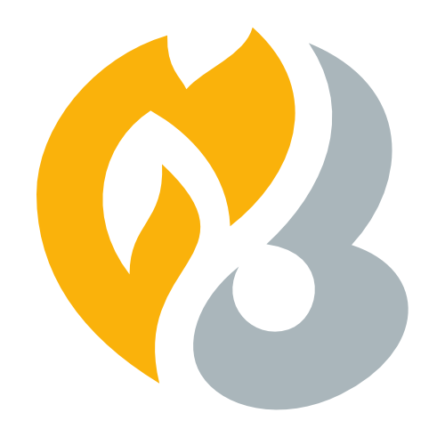 HeartGold SoulSilver set symbol