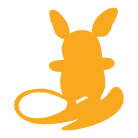 SM Trainer Kit Alolan Raichu set symbol